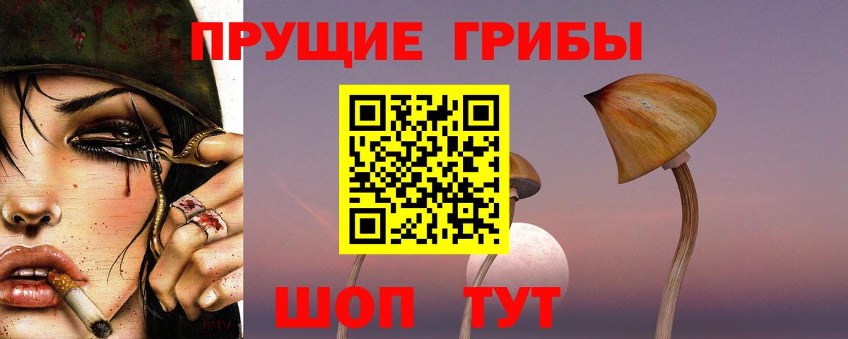 Галлюциногенные грибы Cubensis Дубна